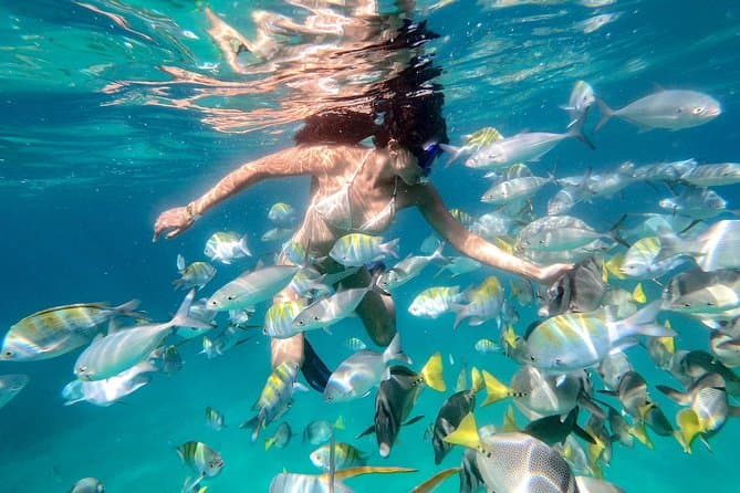 Best Pelican Rock Boat Tours & Snorkeling