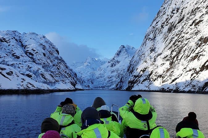 Best Trollfjord Boat Tours from Svolvaer