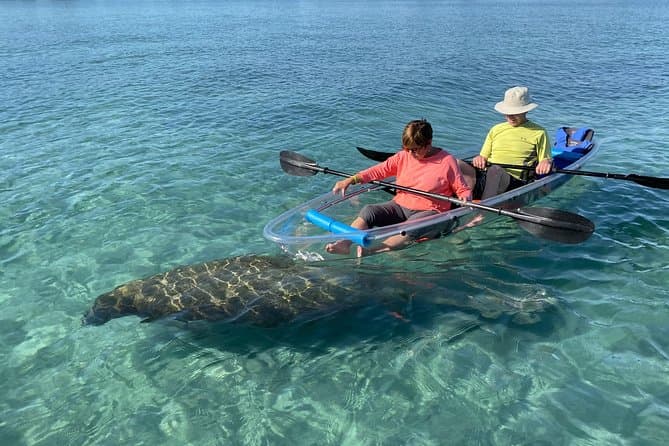 Unforgettable Jupiter Kayak Eco Tours in West Palm Beach