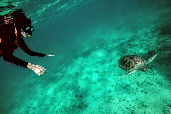 Cozumel Snorkel Tour