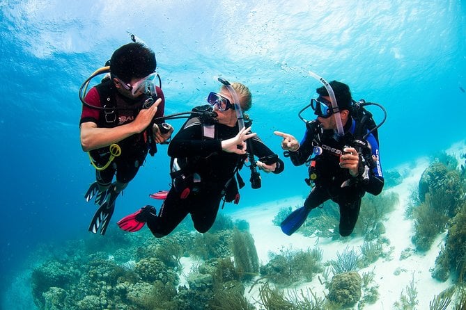 Open Water Diver Course - Playa del Carmen