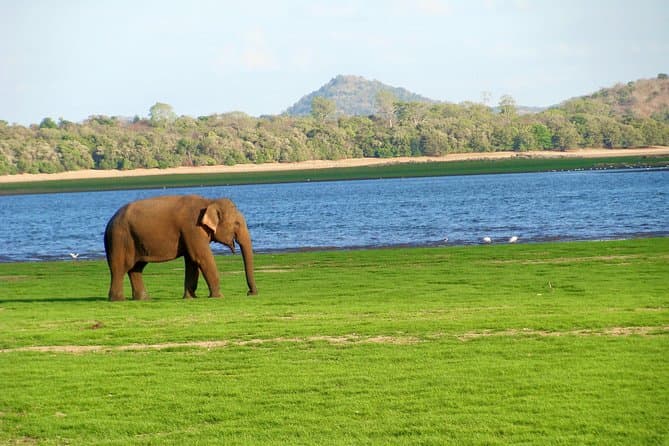 Top-Rated Gal Oya Safari & Boat Tours in Batticaloa
