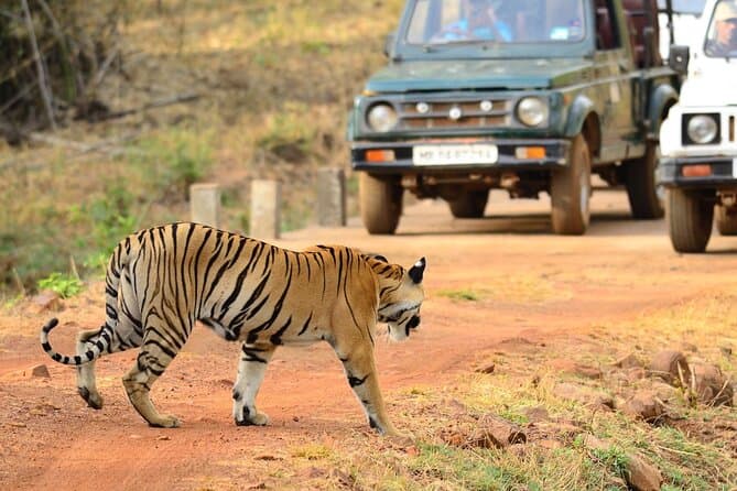 Unforgettable Nagpur to Aurangabad Heritage Expeditions