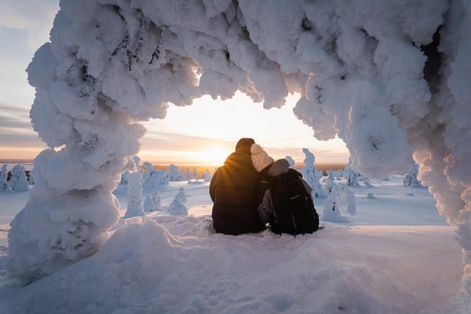 Extreme Arctic Survival Skills & Lapland Wilderness Tours