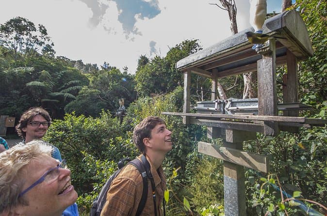 Best Zealandia Eco Tours & Wellington Wildlife Experiences