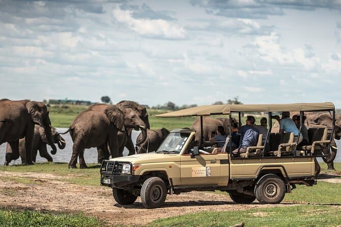 Best Chobe Safari Experiences in Kasane