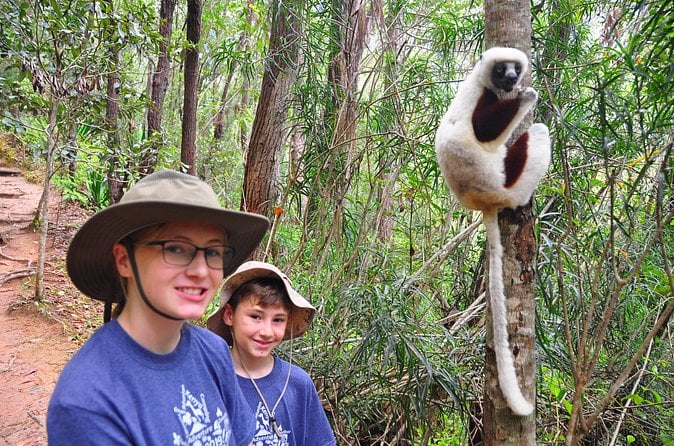 Andasibe National Park Tour