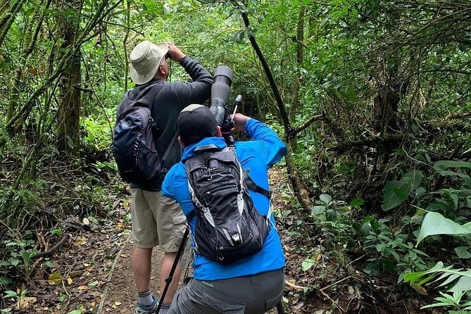 Cloud Forest Walk
