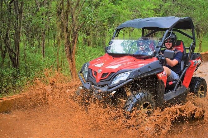 Top-Rated Tours at Jam West Adventure Park