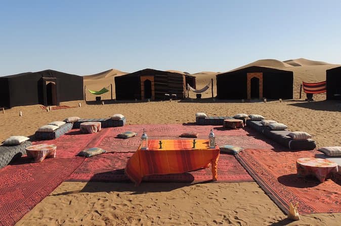 Compare Best Camel Treks in M'Hamid