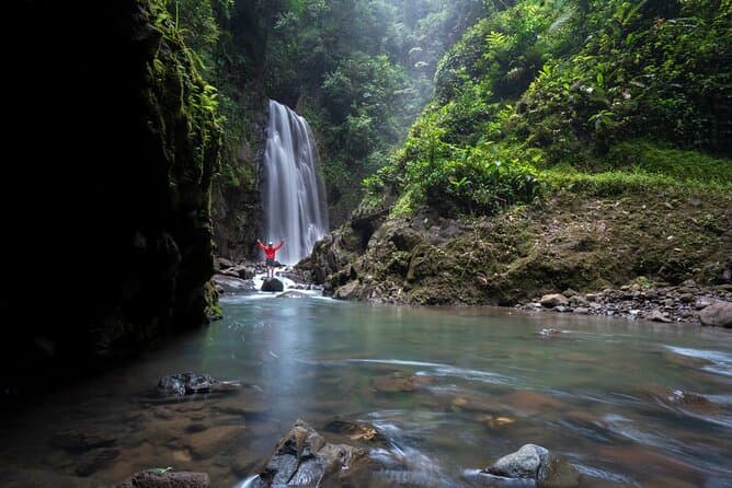 Puntarenas to Monteverde Cloud Forest Tour & Wildlife
