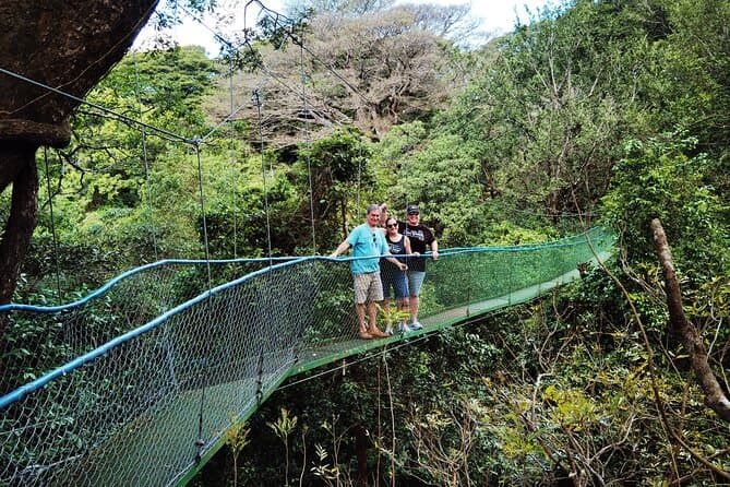 Top-Rated Borinquen Day Tours from Playa Flamingo