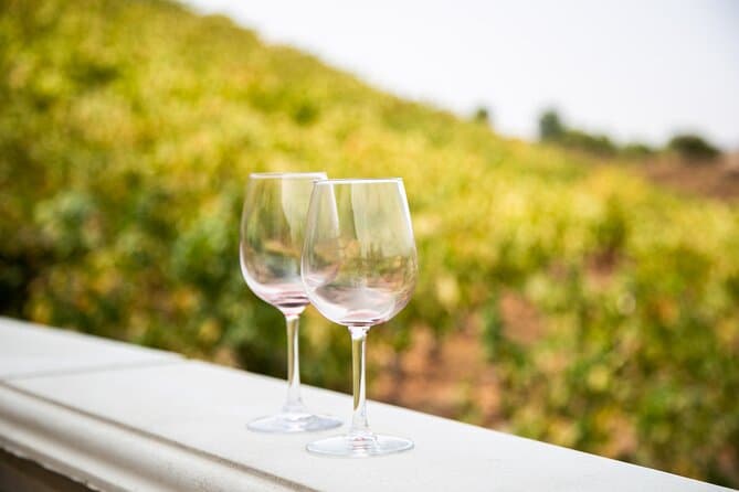 Temecula Wine Tour - Newport Beach