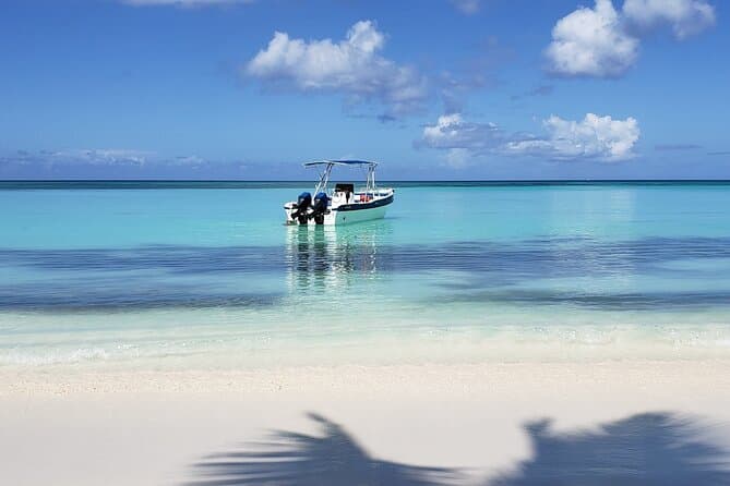 Best Saona Island Tours in Punta Cana