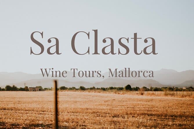 Authentic Wine Tasting & Vineyard Tours in Mallorca