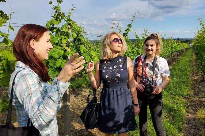 Small Carpathian Wine Tour