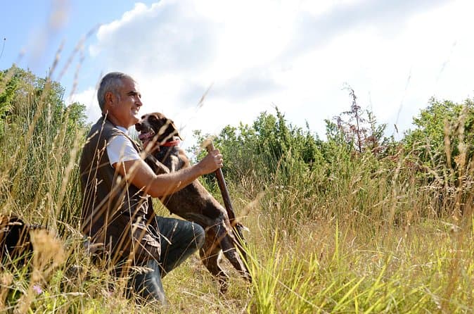 Best Truffle Hunting Tours in Perugia