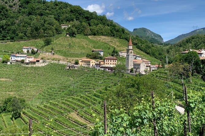 Prosecco Hills Wine Tour