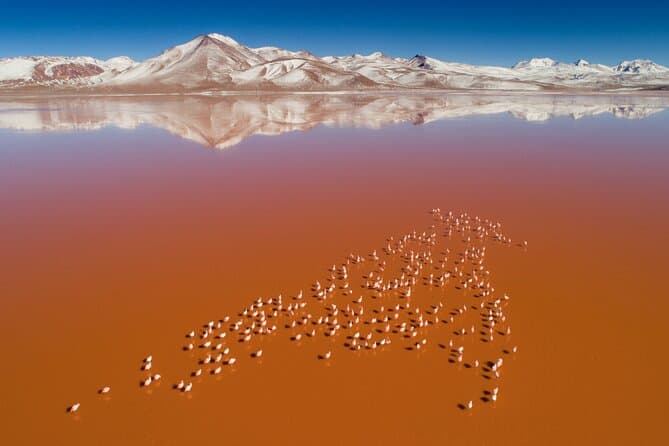 Uyuni Salt Flats Tour: Surreal Bolivian Adventures