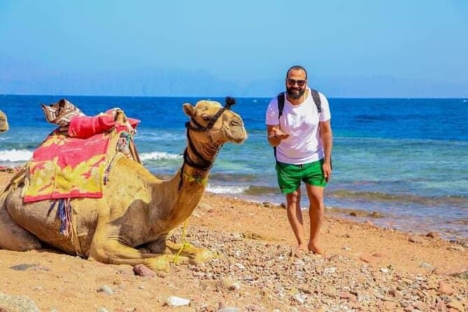 Top-Rated Dahab Excursions from Sharm