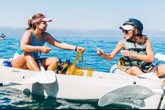 La Jolla Kayak & Snorkel Tour