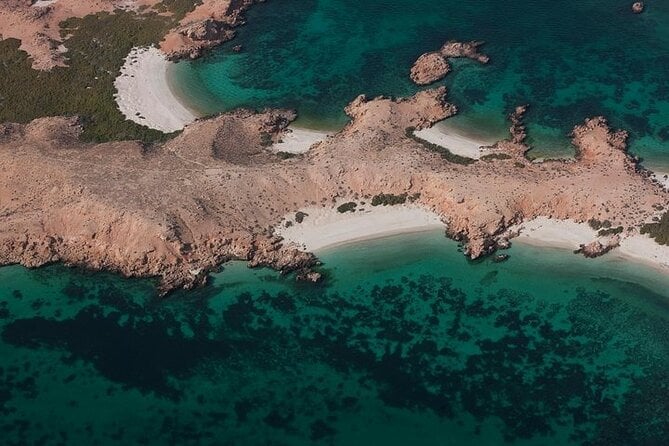 Daymaniyat Islands Tour