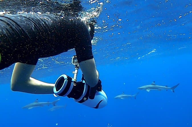 Compare Top-Rated Papeete Snorkeling Trips