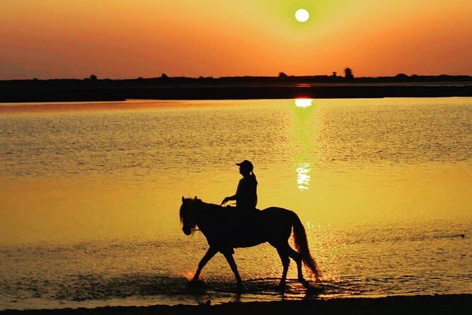 Unforgettable Sunset Horse Riding Tours in Djerba