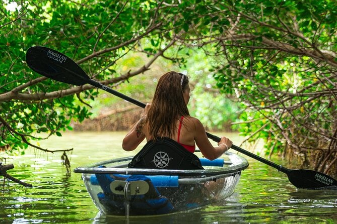 Shell Key Preserve Kayak Tour