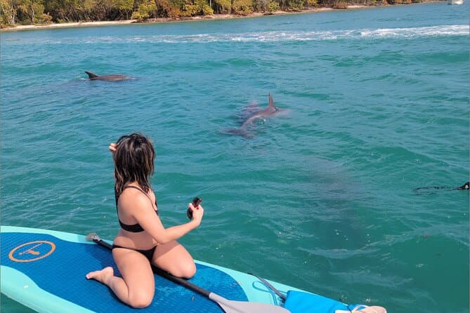 Best Mangrove Jungle SUP & Kayak Tours in Miami