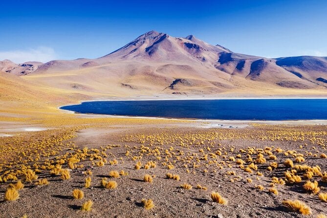 Altiplanic Lagoons Tour