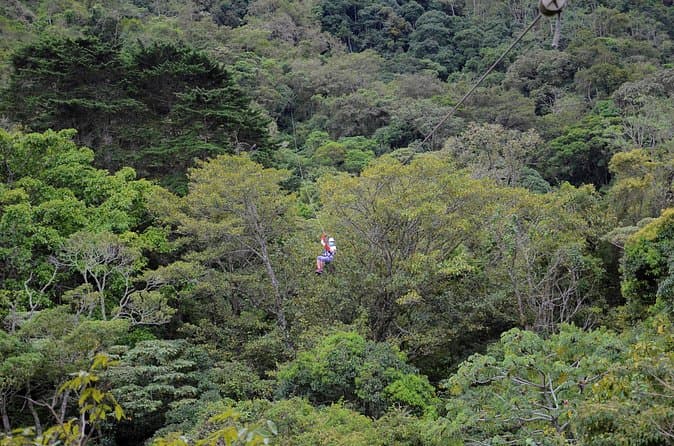 Top-Rated San Jose Zipline Tours & Prices