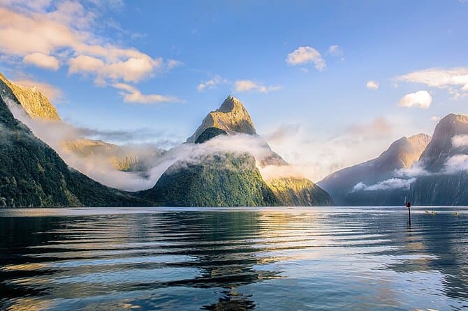 Best Milford Sound Cruises & Tours