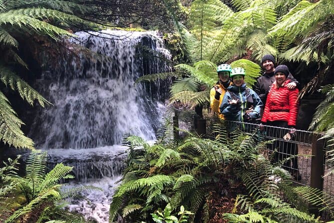 Best Mt Wellington Summit Bike Tours in Hobart, Tasmania