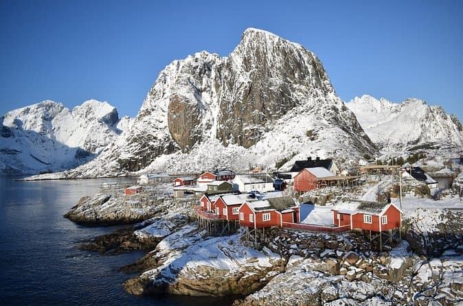 Best Lofoten Islands Tour Options for Scenic Travel