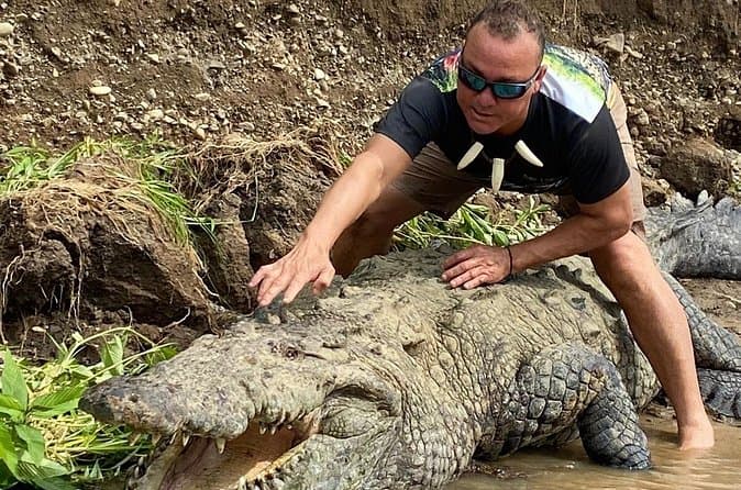 Best Carara & Crocodile Tours Compared in Jaco