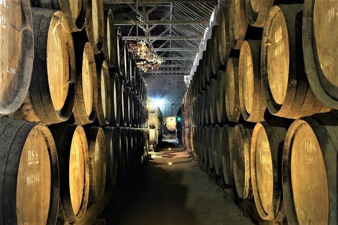 Premium Setúbal Wine Tasting & Lisbon Day Trips