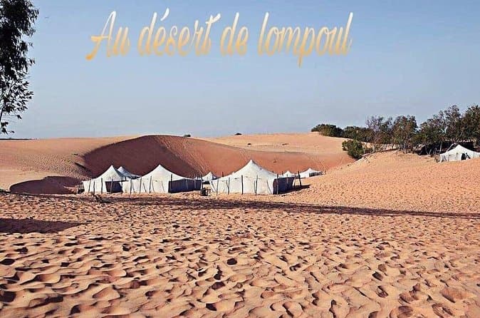 Compare Top Lompoul Desert Tours