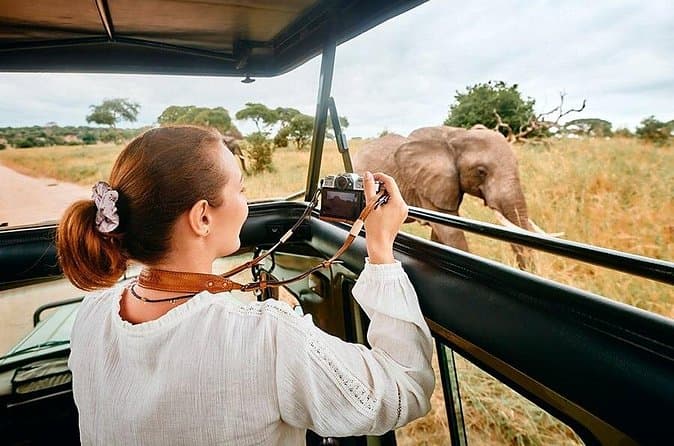 Compare Best Kenya Big Five Safaris