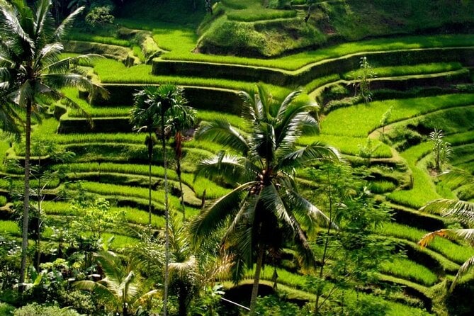 Bali Countryside Tour