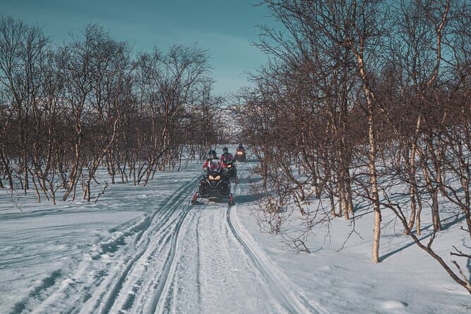 Epic Finnmarksvidda Snowmobile Adventures in Alta