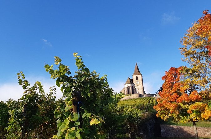 Alsace Wine Tour - Colmar