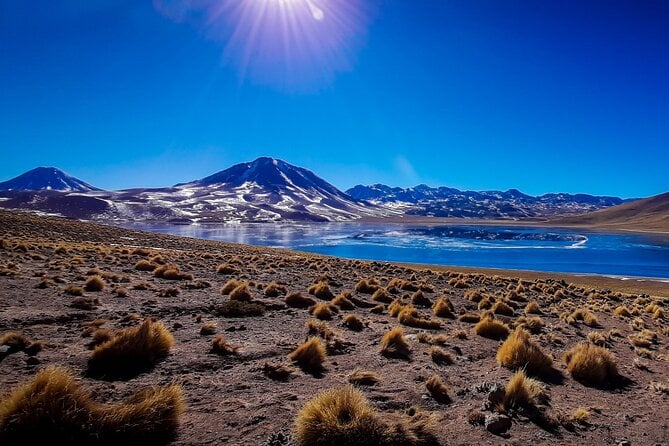 Atacama Desert Tour: Stargaze & Wonders