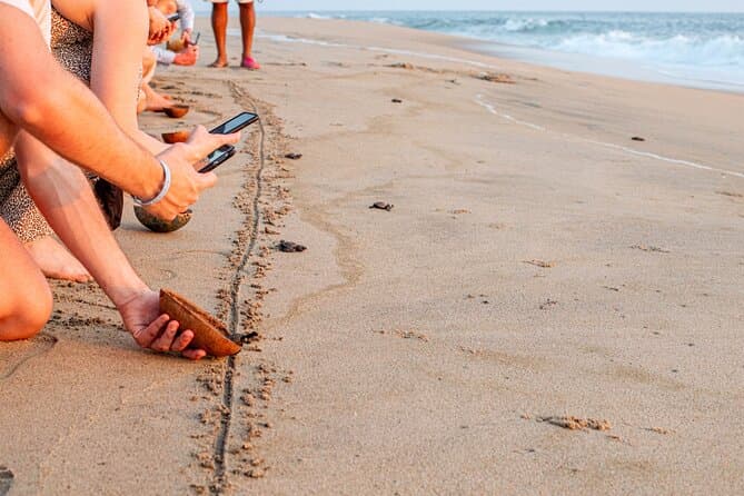 Eco-Adventure: Sea Turtle Release in Puerto Escondido