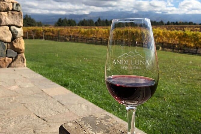 Compare Best Uco Valley Wine Tours