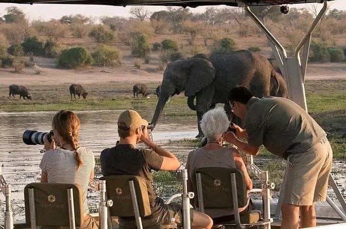 Chobe Safari Day Trip