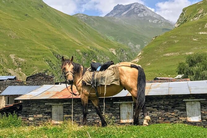 Best Tusheti Group Tour from Tbilisi: Mountain Adventure