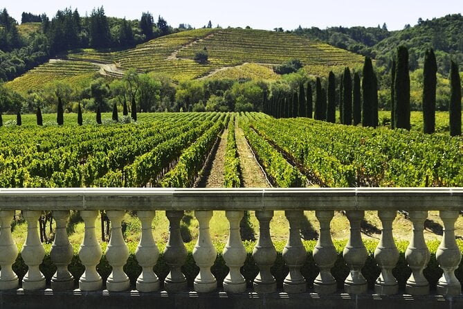 Txakoli Wine Tour