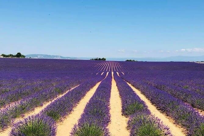 Gorges du Verdon Day Trip: Aix-en-Provence Escape