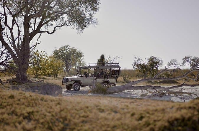 Best Hwange Safari Tours Near Victoria Falls